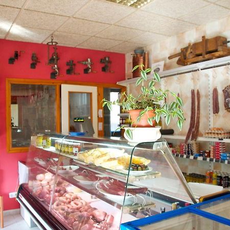 Habitacions Aurora Hotel Sant Pau de Seguries Ngoại thất bức ảnh
